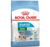 Mini Starter Royal Canin